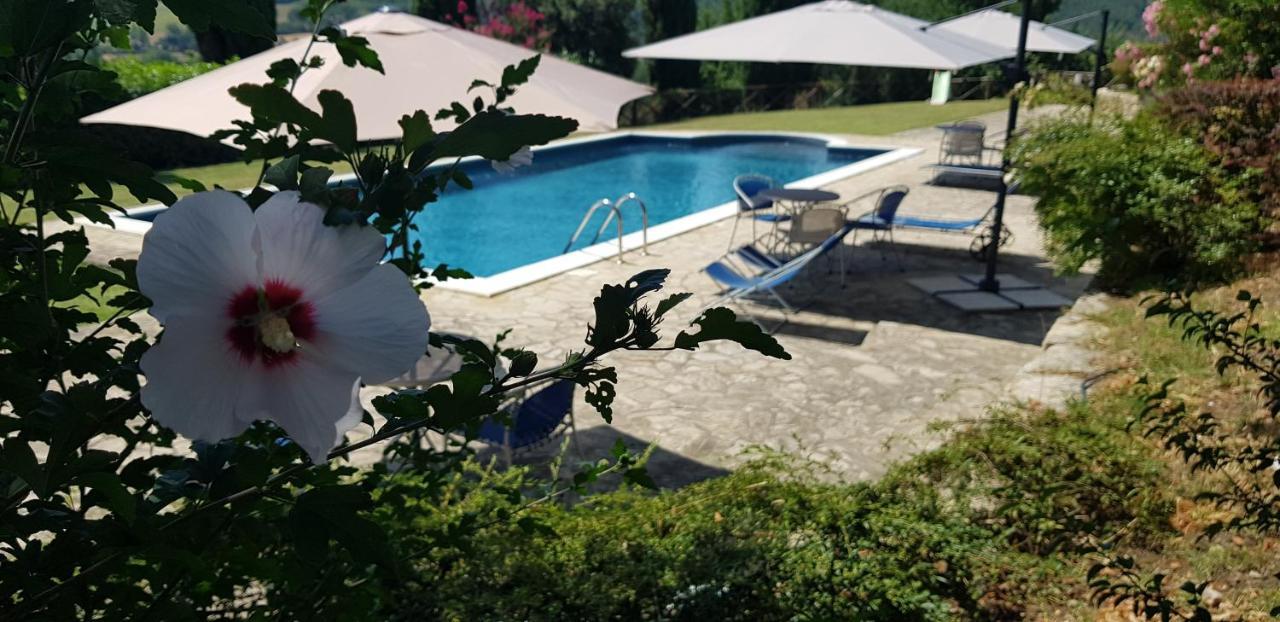 Case In Campagna Con Piscina A Todi Buitenkant foto